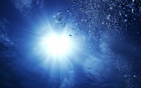 世界拳击赛明星教练战术揭秘，世界著名拳击教练