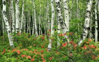 世界桌球大师赛：精确防守成为取胜密码，世界桌球高手