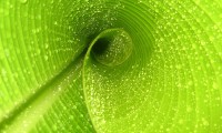 世界举重康复示范基地年度维护与技术升级指南第二版发布，世界举重官网