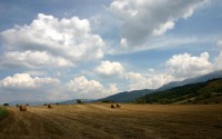 世界板球赛：中国小将初试锋芒吸睛，板球世界冠军