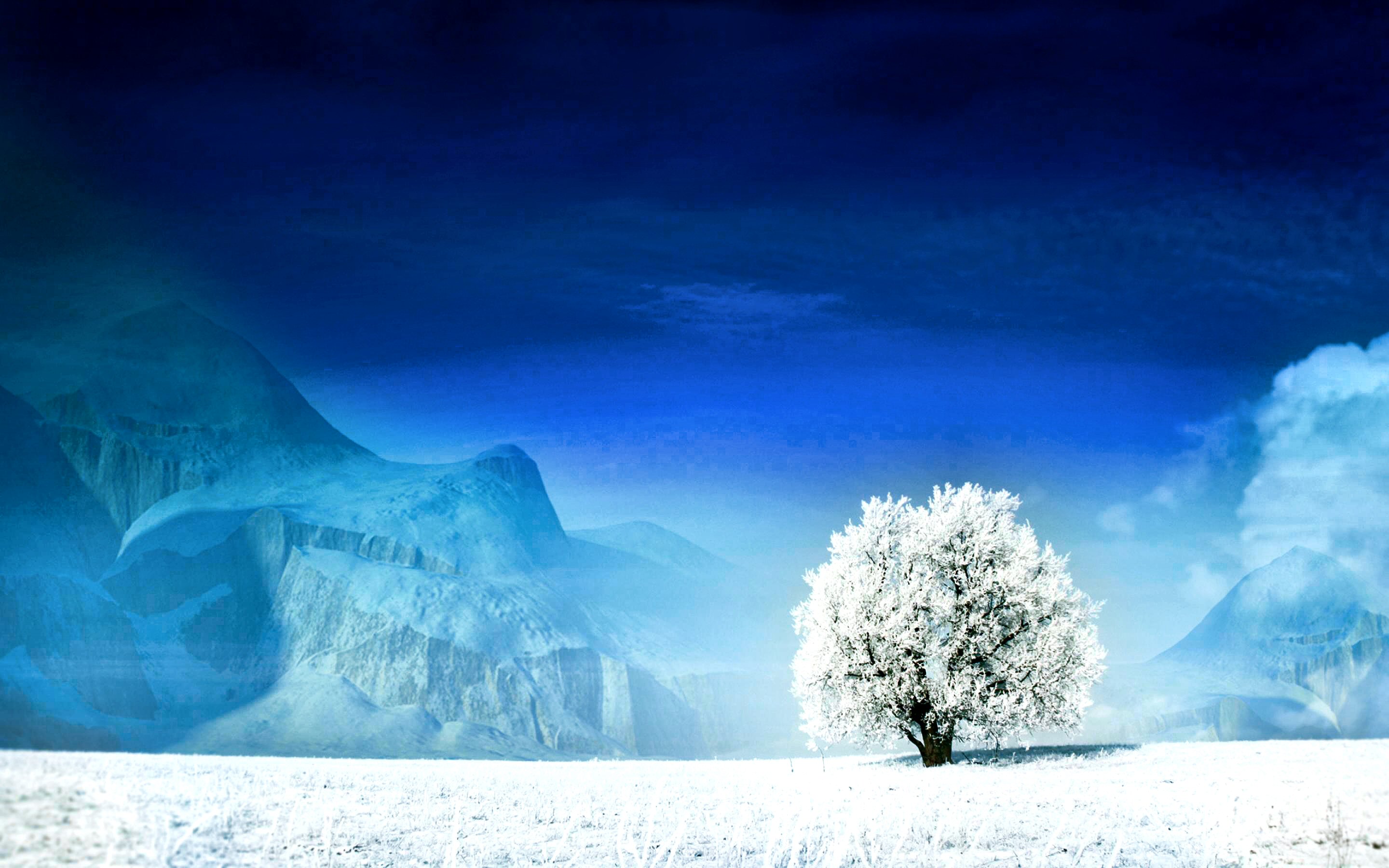 世界滑雪青少年训练营招生启动，国际青少年滑雪比赛